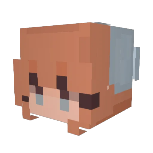 JordanWow101 Minecraft avatar head, 3D render