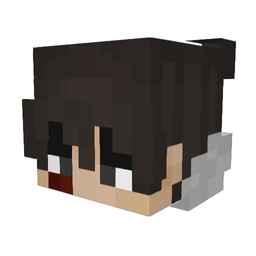 Jordanlmao234 Minecraft avatar head, 3D render