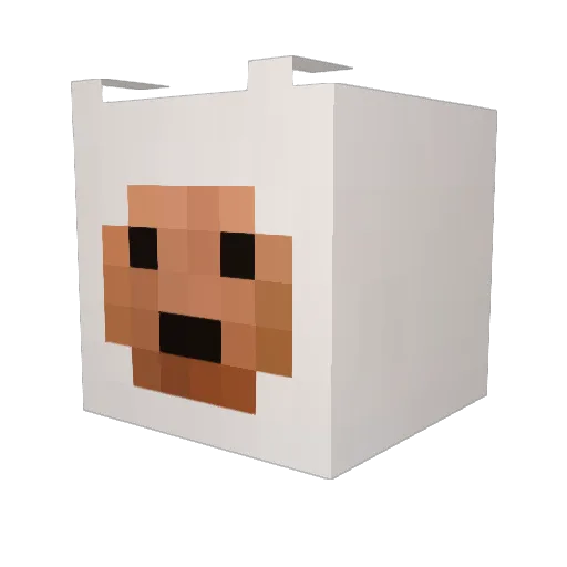 Jordannn Minecraft avatar head, 3D render