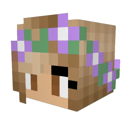 Jordantz Minecraft avatar head, 3D render