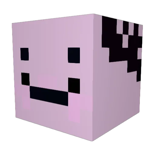 Jordin10 Minecraft avatar head, 3D render