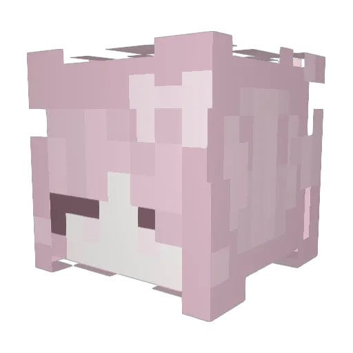 Jordyn201720 Minecraft avatar head, 3D render
