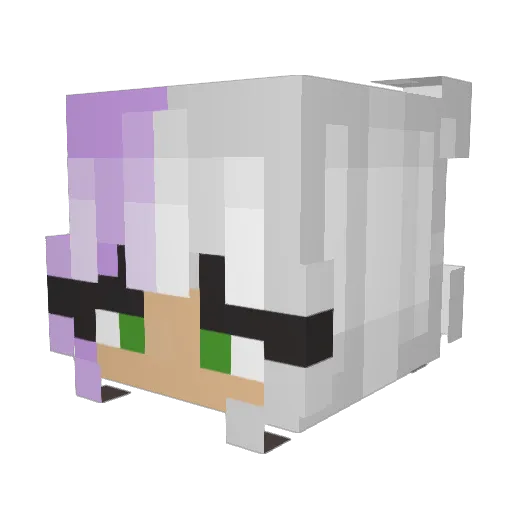 Jordyninnit1 Minecraft avatar head, 3D render