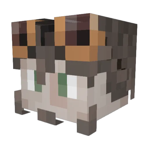 Jorenheim Minecraft avatar head, 3D render