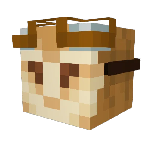 JorgeArt16 Minecraft avatar head, 3D render