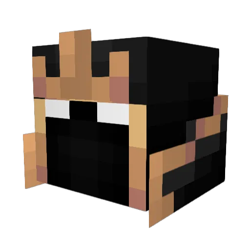 JorgeCJNG Minecraft avatar head, 3D render