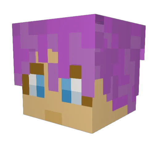 Jorgiboi Minecraft avatar head, 3D render