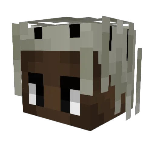 Jorhns Minecraft avatar head, 3D render