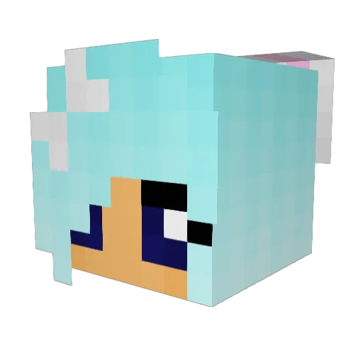Jori148 Minecraft avatar head, 3D render