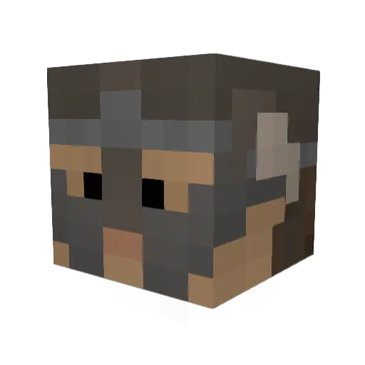 Joric Minecraft avatar head, 3D render