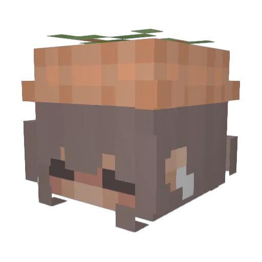 Jorinukas Minecraft avatar head, 3D render