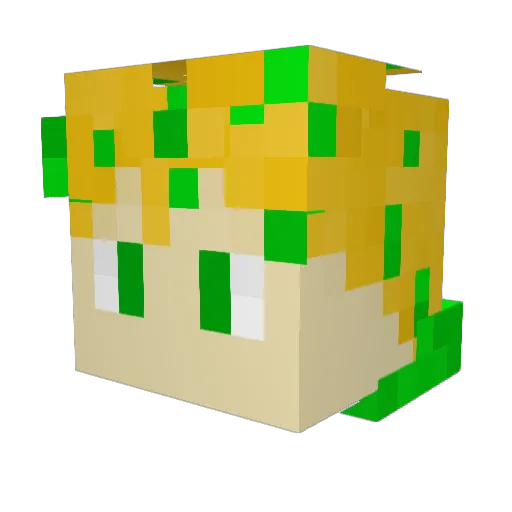 Joris1409 Minecraft avatar head, 3D render