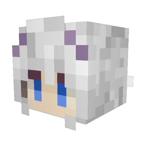 Jorisa_ Minecraft avatar head, 3D render