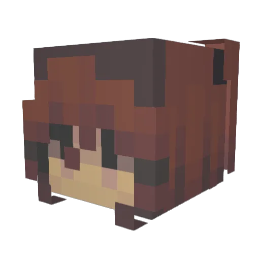 Jorisv2903 Minecraft avatar head, 3D render