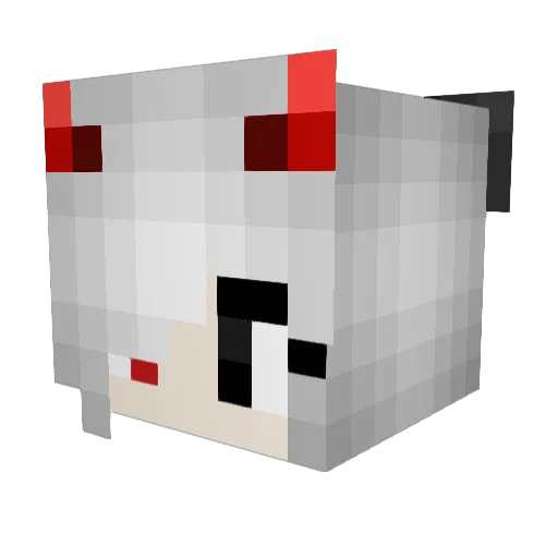 Jorna1 Minecraft avatar head, 3D render
