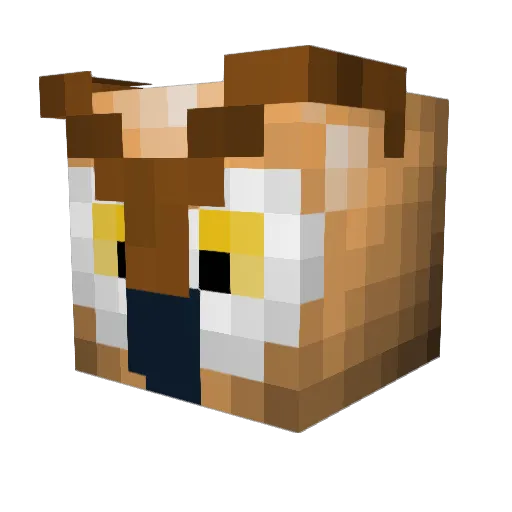 Jorna920 Minecraft avatar head, 3D render