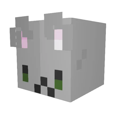 Jorrrie Minecraft avatar head, 3D render