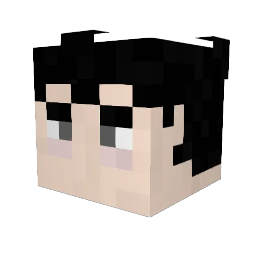 Jorten4 Minecraft avatar head, 3D render