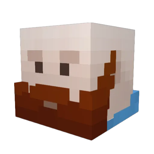 Jorund_Blitzfang Minecraft avatar head, 3D render