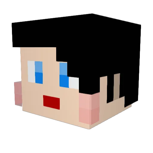 Jos3110 Minecraft avatar head, 3D render