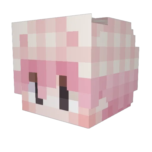 Josave5821 Minecraft avatar head, 3D render