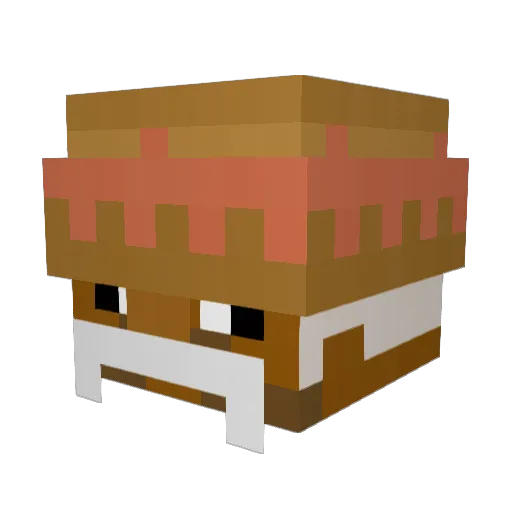 Jose255 Minecraft avatar head, 3D render