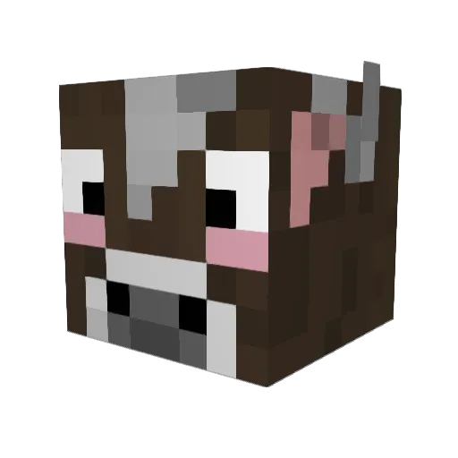 JoseR96 Minecraft avatar head, 3D render