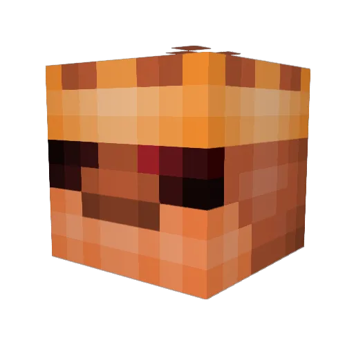 Jose_correia Minecraft avatar head, 3D render