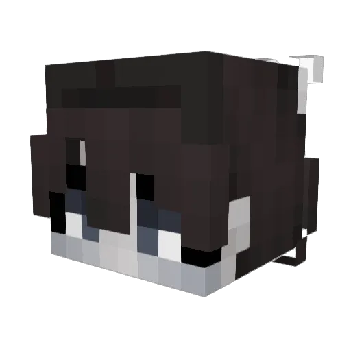 Josebott Minecraft avatar head, 3D render