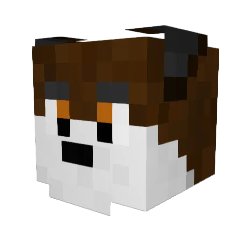Josef0815 Minecraft avatar head, 3D render