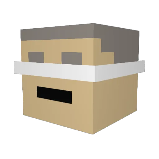 Josefina2009 Minecraft avatar head, 3D render