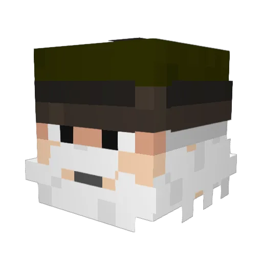 JosephBrodskiy Minecraft avatar head, 3D render