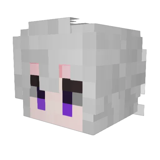 Joseph_1011 Minecraft avatar head, 3D render