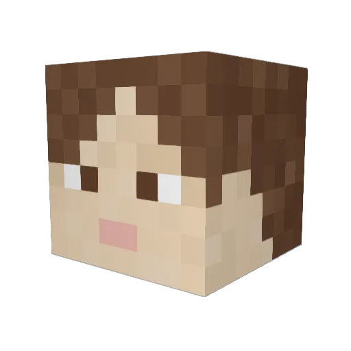 Joseshin Minecraft avatar head, 3D render