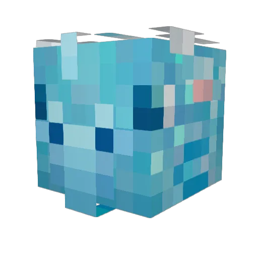 Josh0609 Minecraft avatar head, 3D render