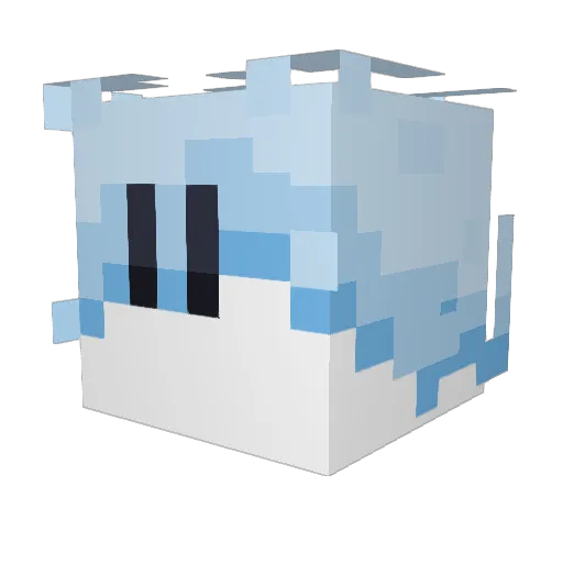 Josh1 Minecraft avatar head, 3D render
