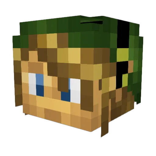 Josh5now Minecraft avatar head, 3D render
