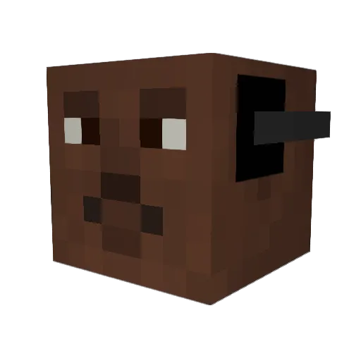 JoshBonus Minecraft avatar head, 3D render