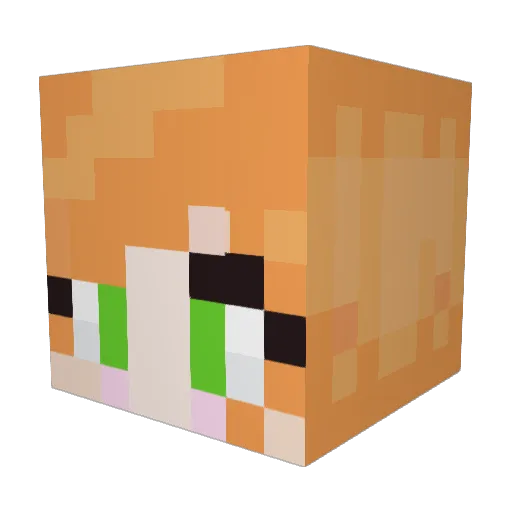 JoshD117 Minecraft avatar head, 3D render