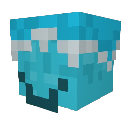 JoshDawg1 Minecraft avatar head, 3D render