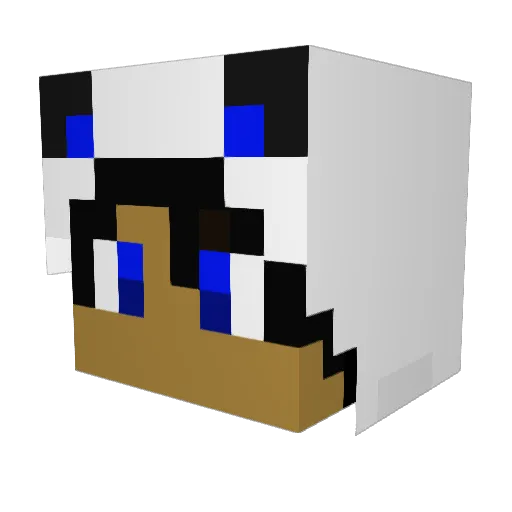 JoshFernanYT Minecraft avatar head, 3D render