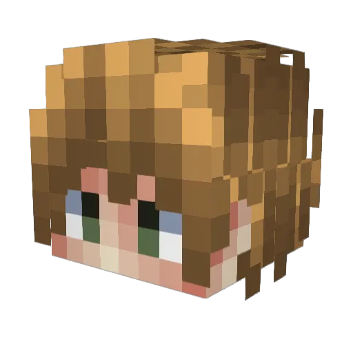 JoshXD4915 Minecraft avatar head, 3D render