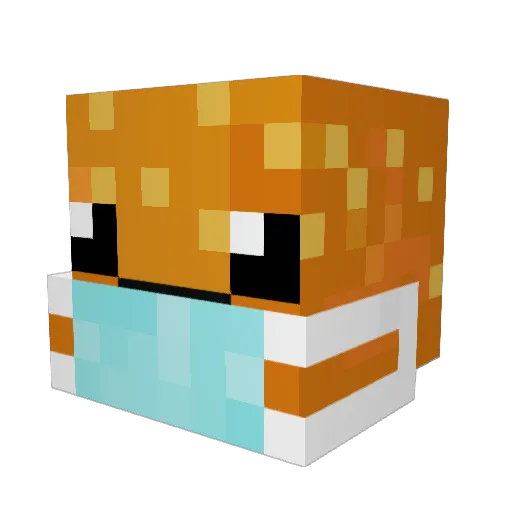 Josh_2004 Minecraft avatar head, 3D render