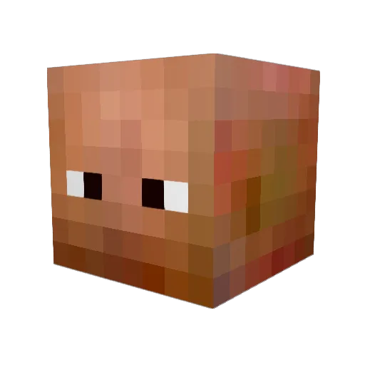 Josh_Rodgers99 Minecraft avatar head, 3D render