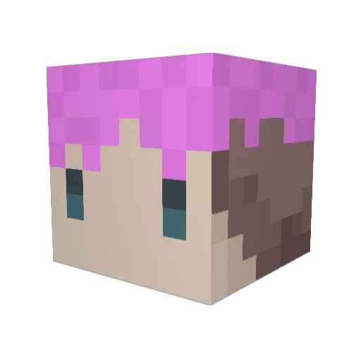 Josher2 Minecraft avatar head, 3D render