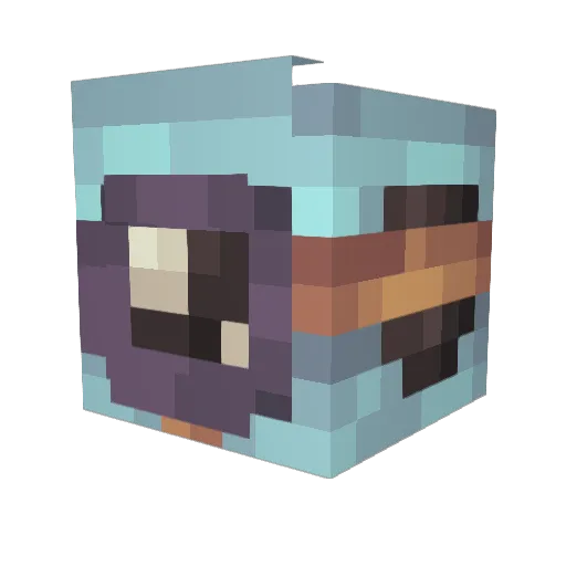 Joshhunny Minecraft avatar head, 3D render
