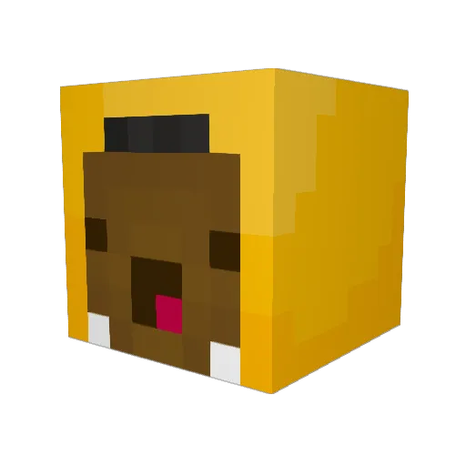 Joshii_Official Minecraft avatar head, 3D render