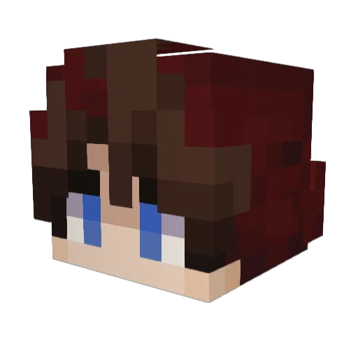JoshisUnknown Minecraft avatar head, 3D render