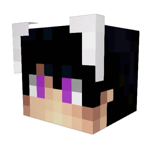 Joshjone_20 Minecraft avatar head, 3D render