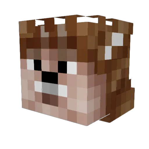 Joshmoni Minecraft avatar head, 3D render